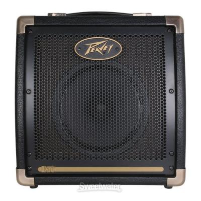 PEAVEY Ecoustic E20